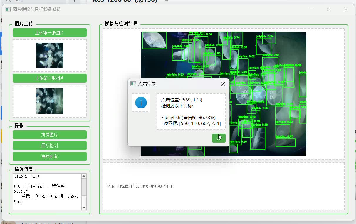 海洋动物交互式识别
